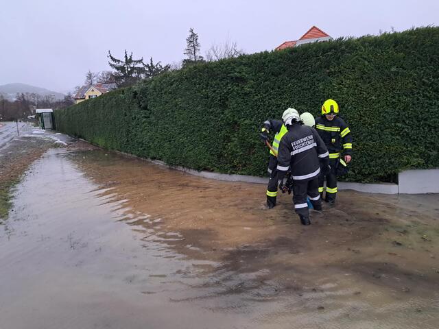Foto: Feuerwehr Forchtenau