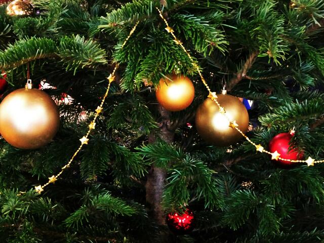 ... allein die Tatsache, dass man gesund ist und mit seinen Lieben das Weihnachtsfest verbringen kann, ist wohl die größte Freude! 
 | Foto: © Silvia Plischek