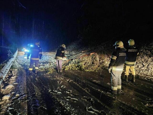Ein Baum blockierte die Straße zwischen Unterkohlstätten und Goberling. | Foto: Feuerwehr Unterkohlstätten