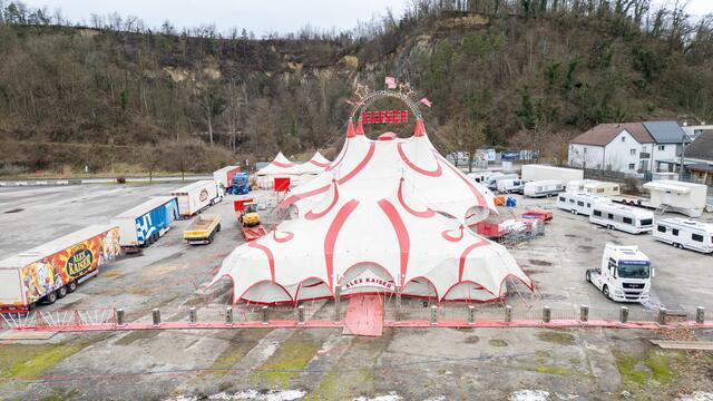 Eine Fahndung nach dem Hundebesitzer verlief bis dato negativ, die Ermittlungen laufen. | Foto: fotokerschi.at/Brandstätter