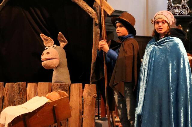 Ein sichtlich verärgerter Esel