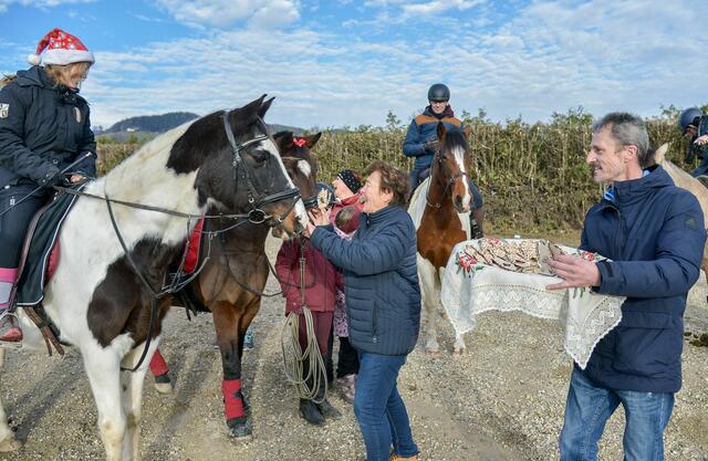 Foto: Gerhard Pulsinger
