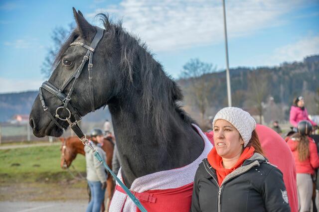 Foto: Gerhard Pulsinger