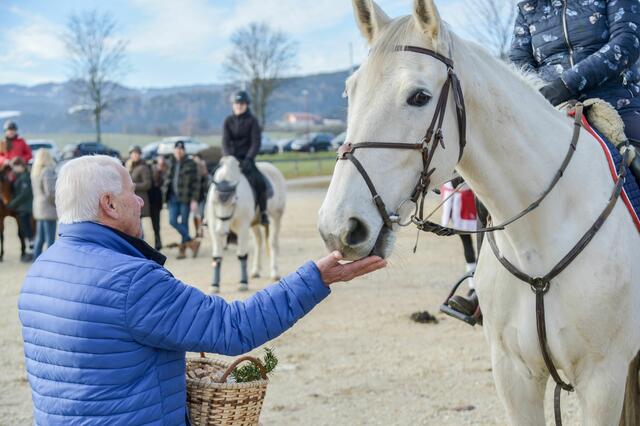 Foto: Gerhard Pulsinger