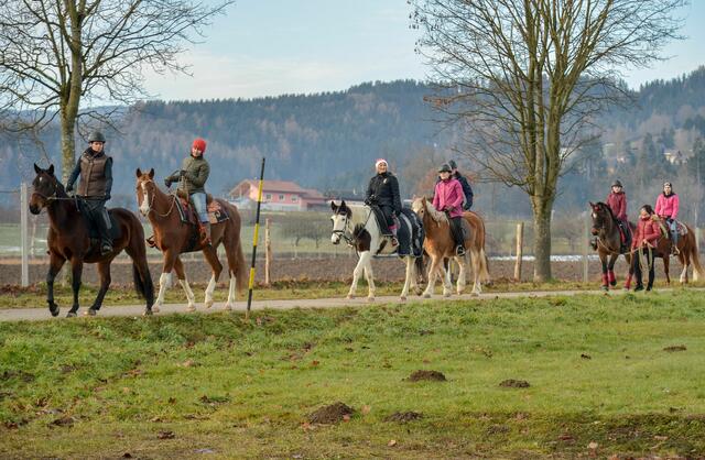 Foto: Gerhard Pulsinger