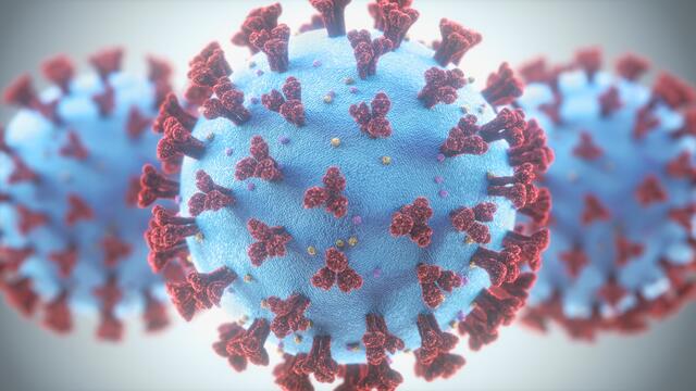 "Ich habe immer gesagt, die Pandemie wird verschwinden oder sich verändern oder weniger werden - aber das Virus wird bleiben", so der Gesundheitsminister.  | Foto: ktsdesign/panthermedia