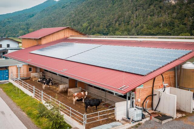 Auf Tirols Stalldächern wird mit Unterstützung des Landes und des Landeskulturfonds vermehrt Sonnenstrom produziert.
 | Foto: © Land Tirol