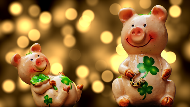 Die Glücksbringer der NÖ Marktfahrer sind auch heuer wieder begehrt. Rund zehn Euro geben die Niederösterreicher:innen dafür aus.  | Foto: pixabay.com