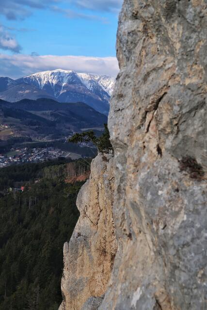 Draußen unterwegs, mein Ziel war diesmal die Hohe Wand, Seiser Toni mit Start Gebirgsv-steig zum Hubertushaus.... Schon der Anblick der Natur macht mich glücklich......