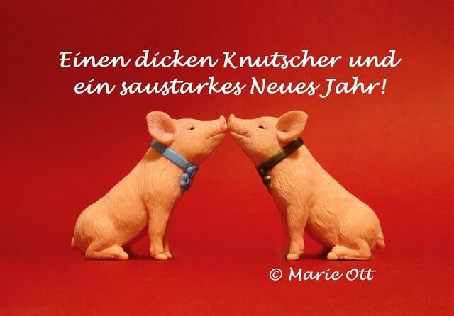 Saustarkes Neues Jahr!