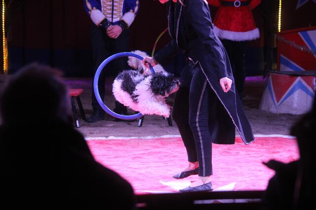 Foto: RegionalmedienSteiermark/Hofmüller