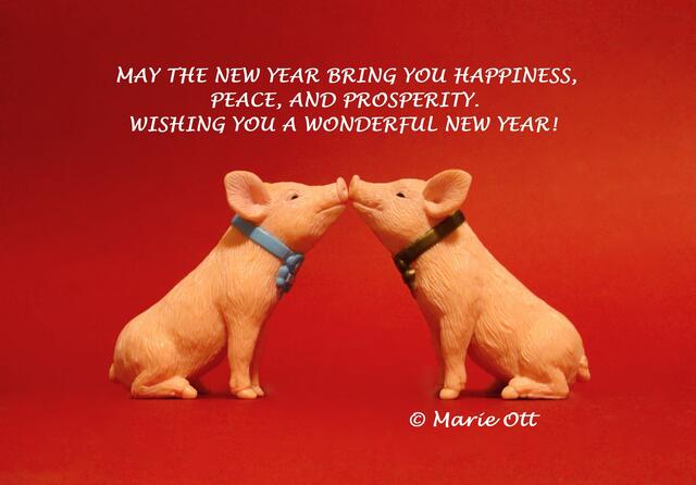 WISHING YOU A WONDERFUL NEW YEAR!