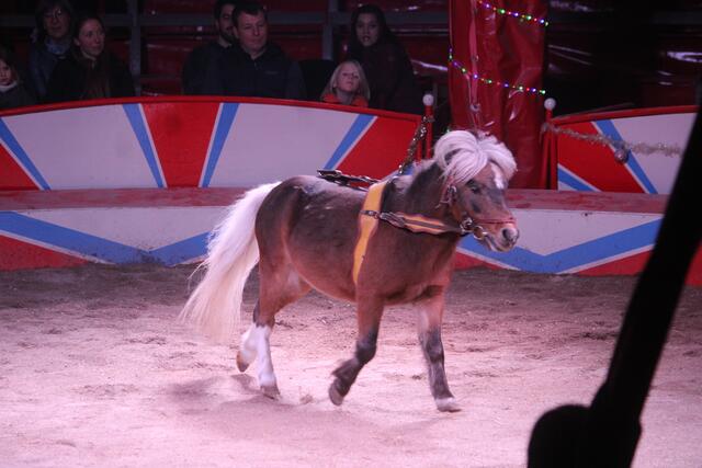 Foto: RegionalmedienSteiermark/Hofmüller