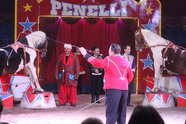 Foto: RegionalmedienSteiermark/Hofmüller