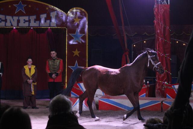 Foto: RegionalmedienSteiermark/Hofmüller