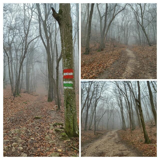 Foto: I.Wozonig