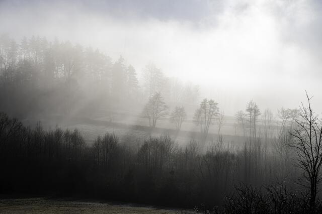 Streifenfluren, Nebel und Sonne - Waldviertel halt!