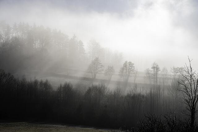 Streifenfluren, Nebel und Sonne - Waldviertel halt! 