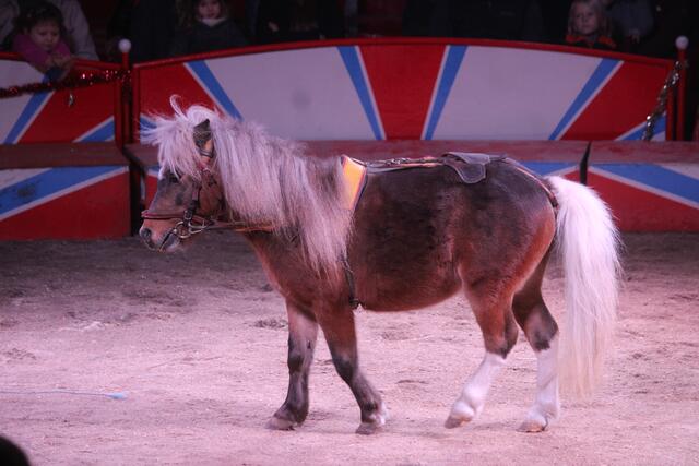 Foto: RegionalmedienSteiermark/Hofmüller