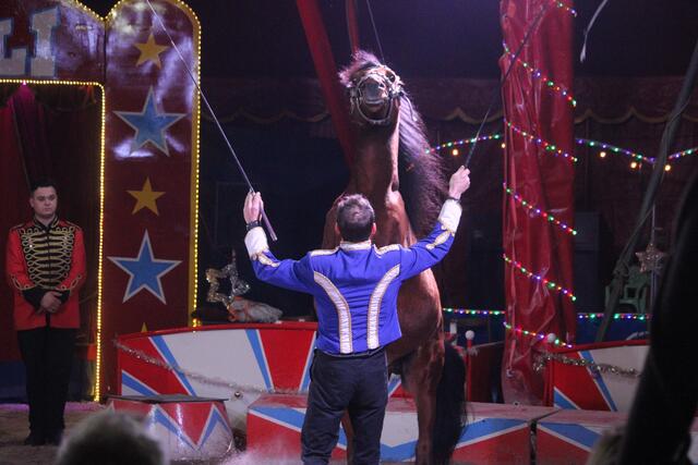 Foto: RegionalmedienSteiermark/Hofmüller