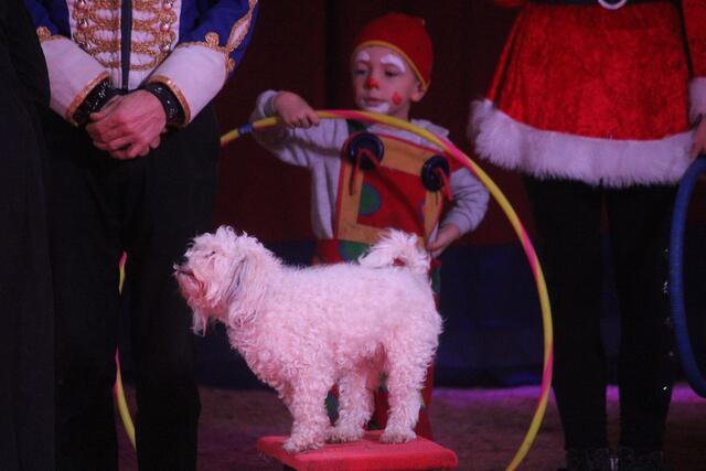 Foto: RegionalmedienSteiermark/Hofmüller