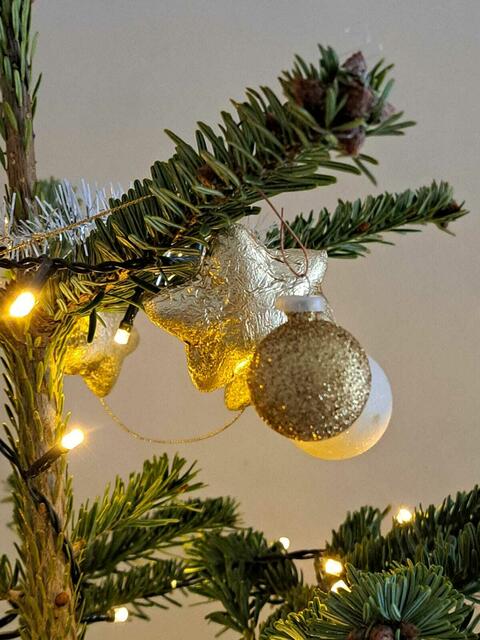 Weihnachten im Frauenhaus Steyr. | Foto: Frauenhaus Steyr