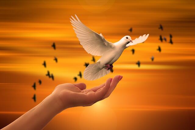 Foto: Pixabay