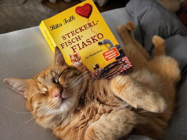 War der Steckerlfisch zu Silvester vielleicht ein Fiasko, so schmeckt der Rollmops am Neujahrsmorgen besonders gut. Regionautenkater Leo nimmt es gelassen und wünscht "Prosit 2024!" | Foto: Eckhart Herbe