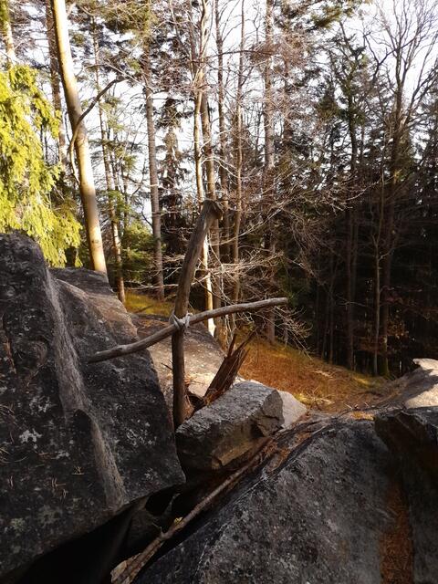 HIer das Gipfelkreuz, 