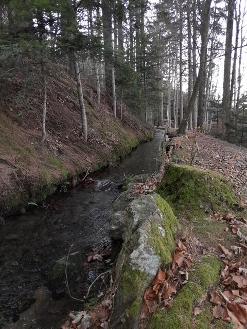 und wandere den gleichen (bis auf die kurze Verirrung) Weg wieder zurück.