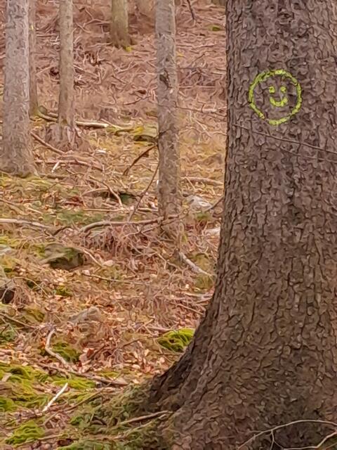 Sogar die Bäume lächeln mir zu