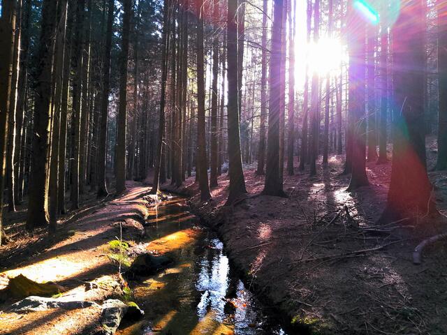 und genieße die Sonnenstrahlen