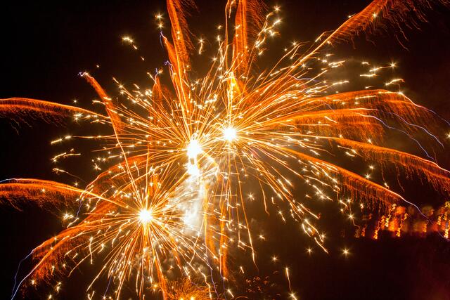 Bild # 2733 | Foto: © by Ing. Günter Kramarcsik