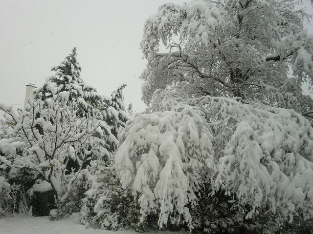 wien: der winter kann kalt sein! 