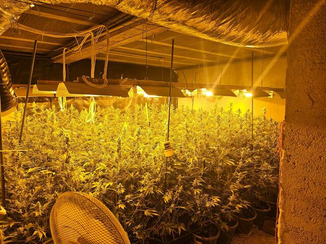 Niederösterreichs Kriminalbeamten ist ein Schlag gegen die Suchtmittelkriminalität gelungen | Foto:  LPD NL/LKA