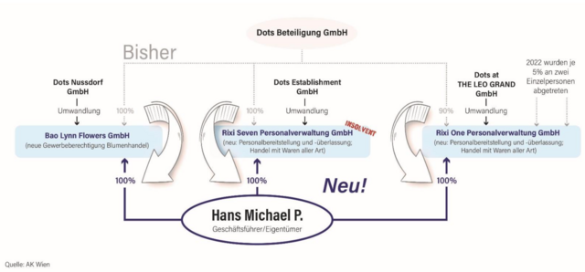 Eine Grafik der AK Wien soll die Umstrukturierungen veranschaulichen. Ganz links zu sehen ist die "Bao Lynn Flowers GmbH". | Foto: AK Wien