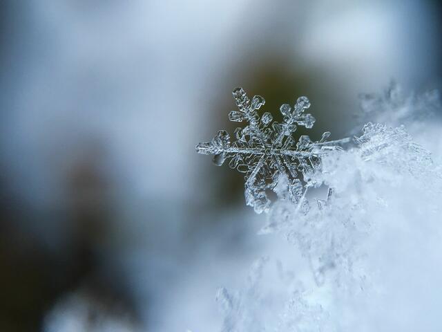 Samstag auf Sonntag soll der Schneefall beginnen. (Symbolbild) | Foto: Aaron Burden/Unsplash