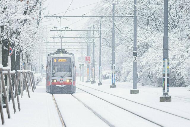 Wenn die Prognosen stimmen, wird Wien am Wochenende in eine dichte Schneedecke gehüllt werden. (Archivfoto) | Foto:  Florian Schroetter / EXPA / picturedesk.com