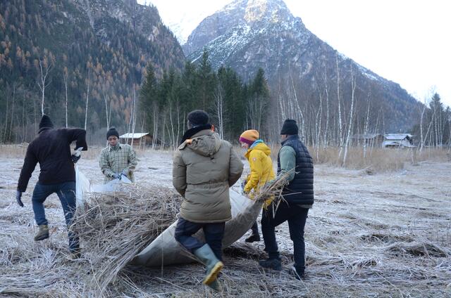 Mithilfe von Flüchtlingen aus Afghanistan und Somalia wurde im November noch das Mähgut von den Lahnwiesen gebracht. | Foto: Kathrin Herzer