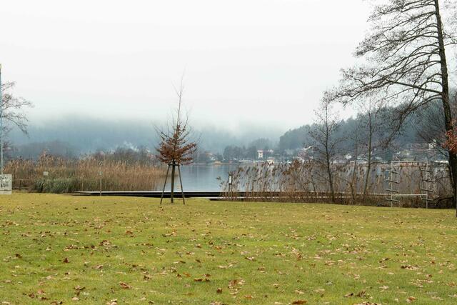 Foto: Dieter Arbeiter