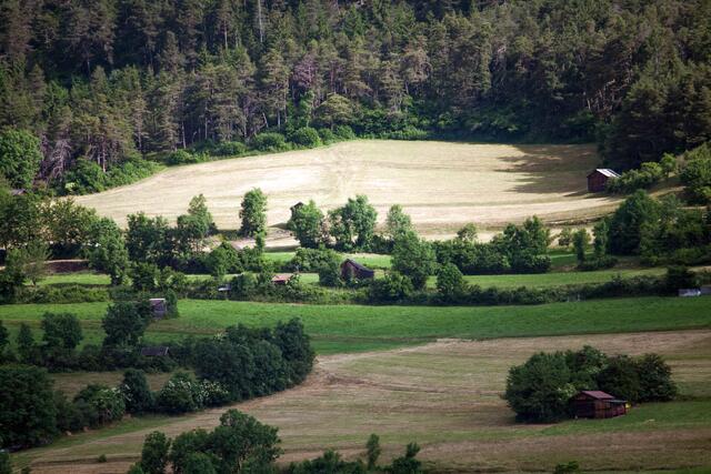 06_IMG_7194: zwischen Stanz und Grins | Foto: © by Ing. Günter Kramarcsik