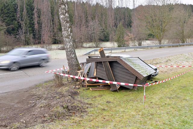 Foto: Manfred Fesl