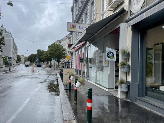 Die Liechtensteinstraße wird bald anders aussehen. | Foto: Julia Schmidt