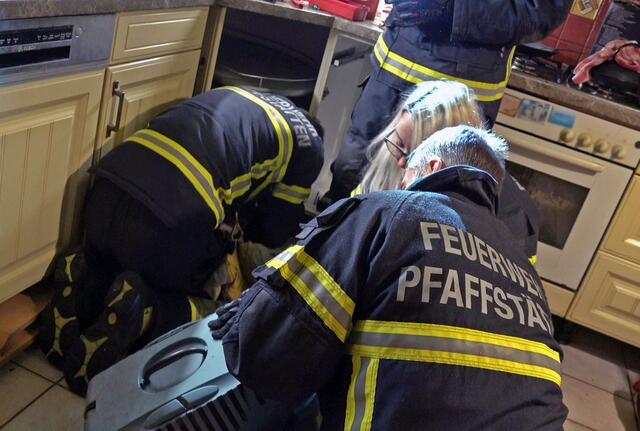 Der Kater war seit über einer Woche verschwunden. | Foto: BFKDO BADEN / Stefan Schneider