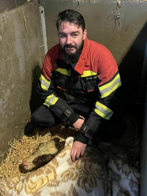 Das junge Kalb wurde von Peter Schwaiger gerettet. | Foto: FF St. Georgen am Ybbsfelde