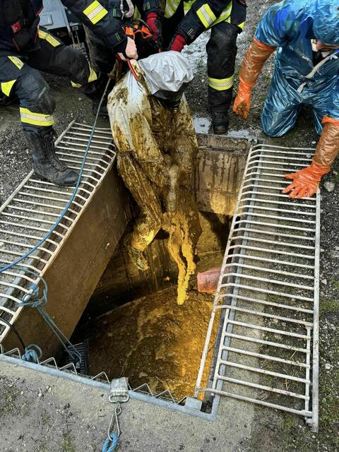 Der Einsatz hatte einen glücklichen Ausgang. | Foto: FF St. Georgen am Ybbsfelde