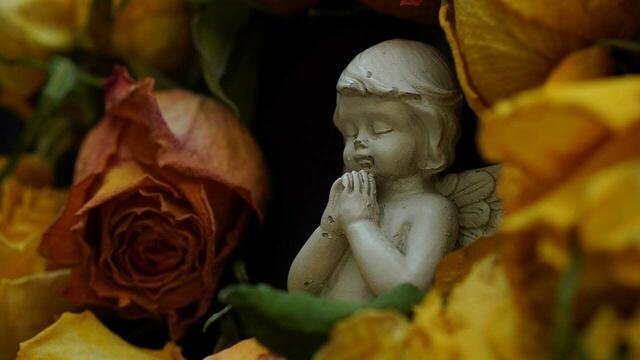 Foto: Nina Taurok