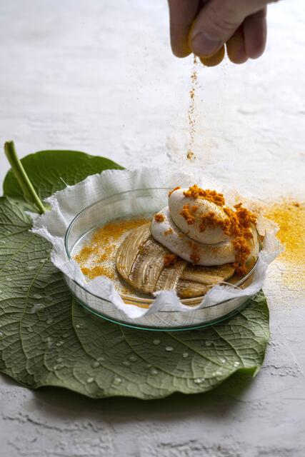 „Fast zu schön, um es zu essen“, trifft wohl auf den Großteil von Schramls Gerichten zu; im Bild: „Panama Disease“.  | Foto: Julia Losbichler