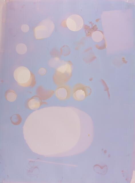 Die Künstlerin arbeitet mit lichtempfindlichem Fotopapier und Chemikalien und erstellt damit großflächige Fotogramme. | Foto: Anna C. Roth