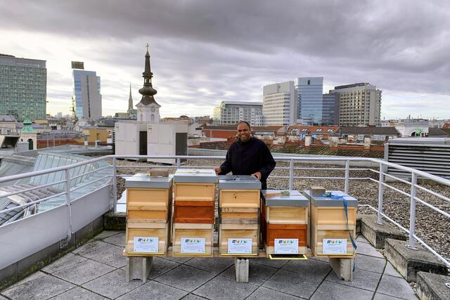 Am Dach des Krankenhauses der Barmherzigen Brüder (KHBB) Wien haben fünf Bienenstöcke ein Zuhause gefunden.  | Foto: Barmherzige Brüder